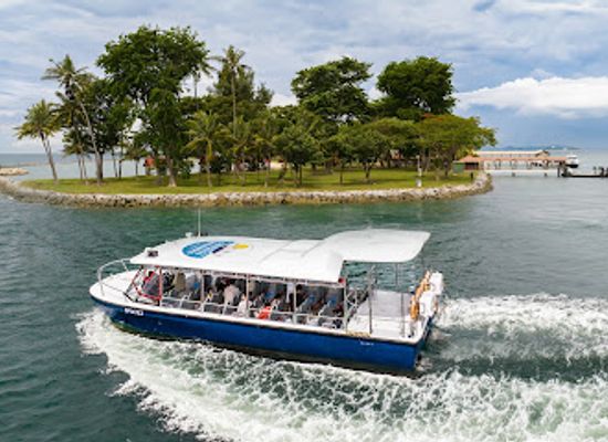 singapore/sentosa-island/attraction/southern-albatross-singapore