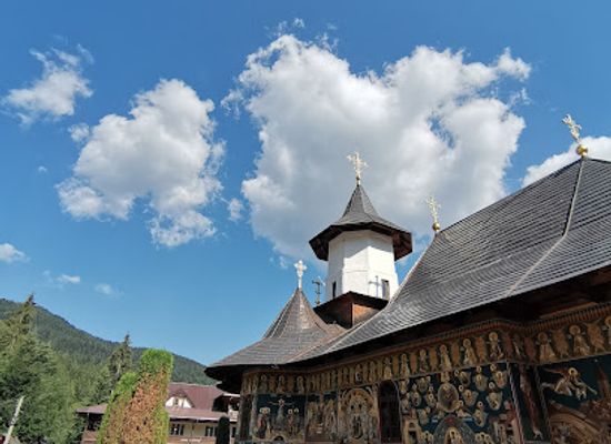 romania/muntenia/attraction/petru-voda-monastery