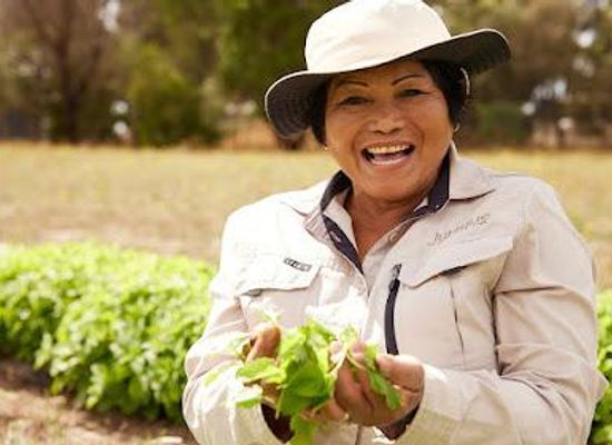 australia/adelaide/attraction/jurlique-farm