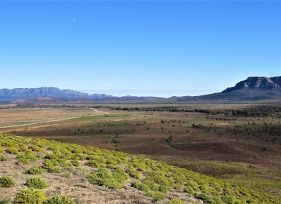 australia/flinders-ranges/attraction/pugilist-hill