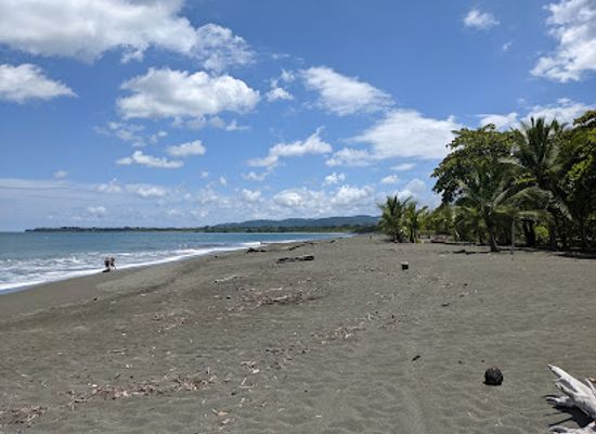 costa-rica/osa-peninsula/attraction/playa-preciosa
