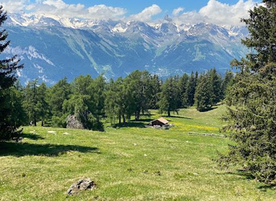 switzerland/nendaz/attraction/alpage