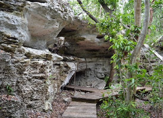 the-bahamas/ragged-island/attraction/primeval-forest-national-park