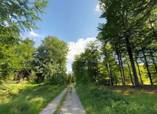 denmark/hillerod/attraction/kongestjernen-i-store-dyrehave