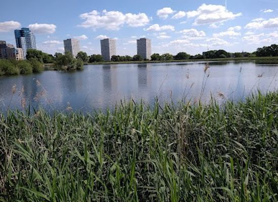 united-kingdom/london/attraction/woodberry-wetlands-london-wildlife-trust