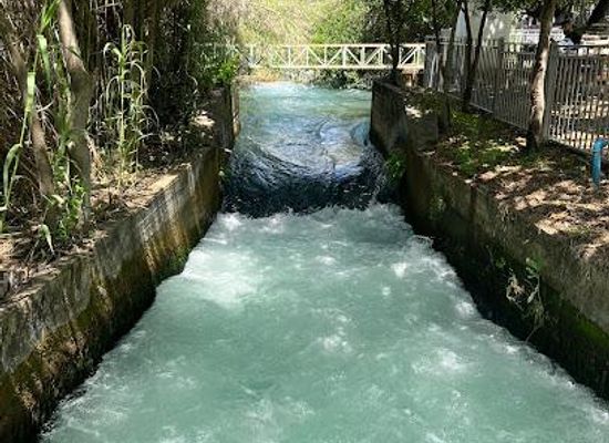 lebanon/rashaya/attraction/tel-dan-nature-reserve
