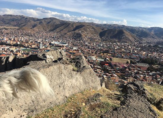 peru/apurimac/attraction/huaca-cheqtaqaqa