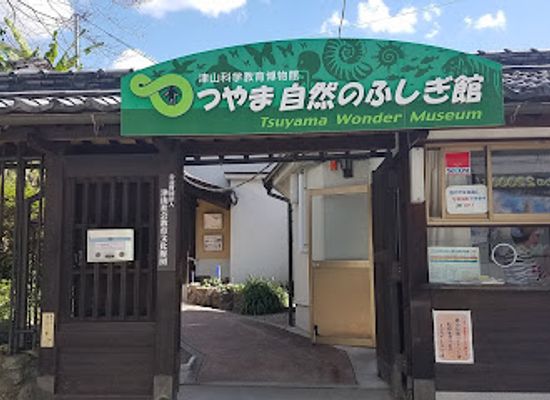 japan/bizen/attraction/tsuyama-natural-science-history-museum