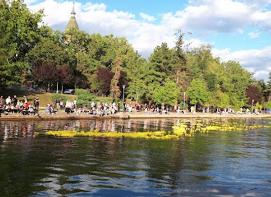 romania/banat/attraction/alpinet-park