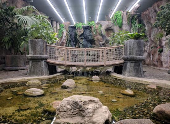 czechia/prague/nove-mesto/attraction/butterfly-house