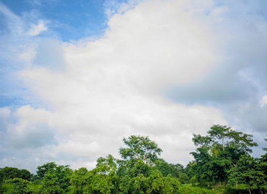 nepal/chitwan-national-park/attraction/dhurba