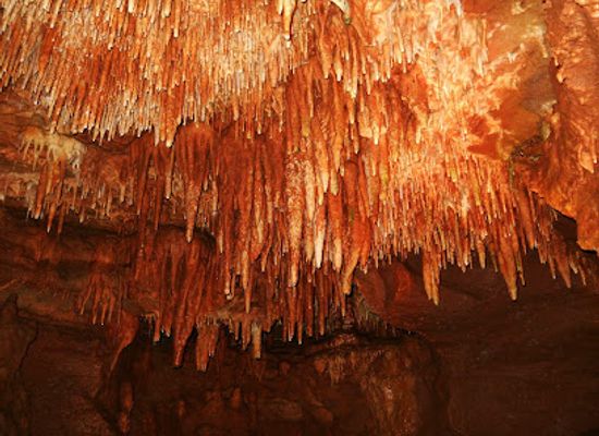arkansas/arkansas-river-valley/attraction/bull-shoals-caverns