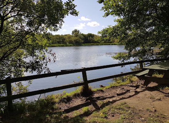 ireland/county-louth/attraction/rathescar-lakeside-walk