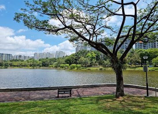 singapore/bugis/attraction/punggol-park