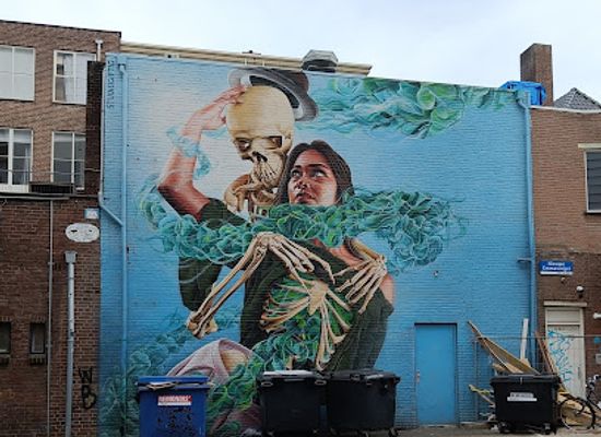 netherlands/eindhoven/attraction/murales