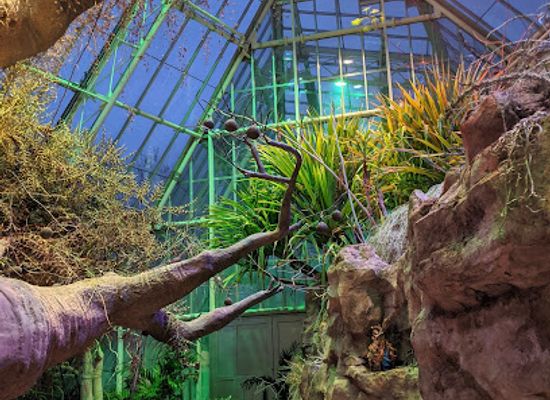 ohio/cleveland/attraction/cleveland-botanical-garden