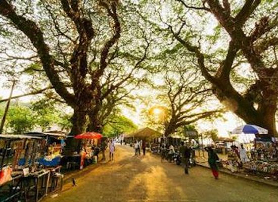 india/kochi/attraction/vasco-da-gama-square