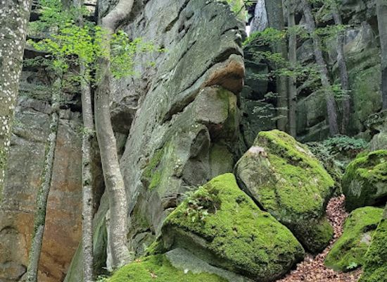 luxembourg/mullerthal/attraction/rammerlay-belle-vue