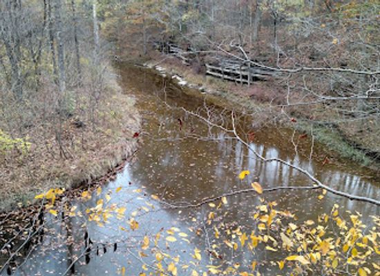 indiana/southeast-indiana/attraction/big-oaks-national-wildlife-refuge