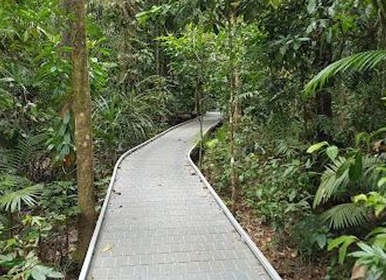 australia/far-north-queensland/attraction/madja-boardwalk