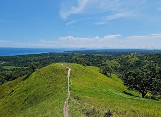 philippines/bohol/attraction/himontagon-hills