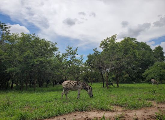 malawi/cape-maclear/attraction/kuti-wildlife-reserve-main-gate