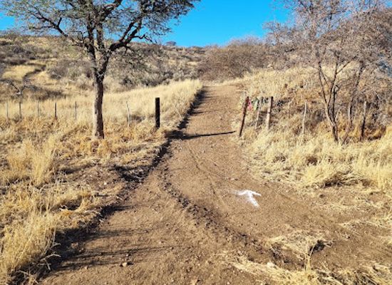 namibia/windhoek/attraction/yellowstone-trails