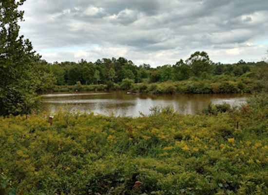 new-jersey/great-swamp-national-wildlife-refuge/attraction/environmental-education-center