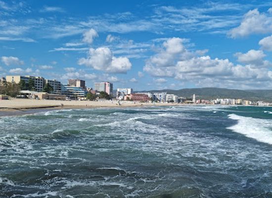bulgaria/sunny-beach/attraction/bob-the-sunny-beach-cat