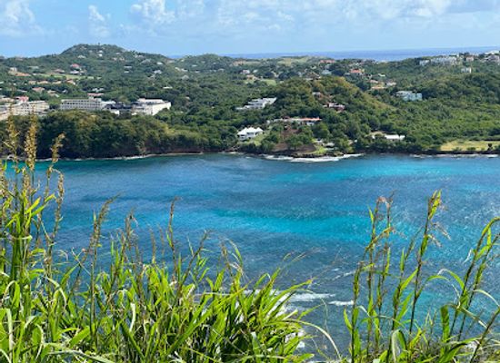 saint-lucia/dauphin/attraction/saint-lucia-national-trust