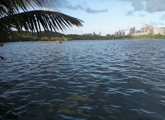 sri-lanka/trincomalee-district/attraction/mangrove-cove