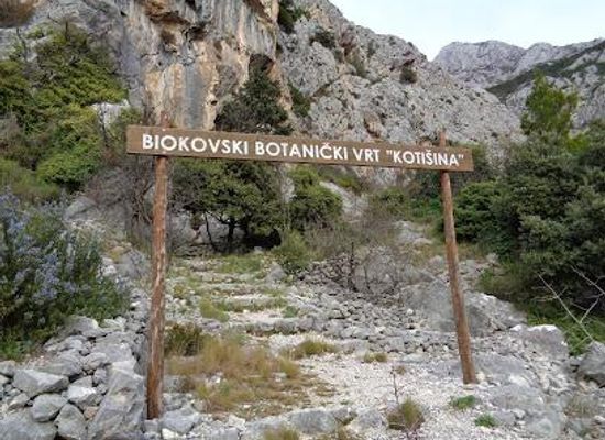 croatia/makarska/attraction/botanical-garden