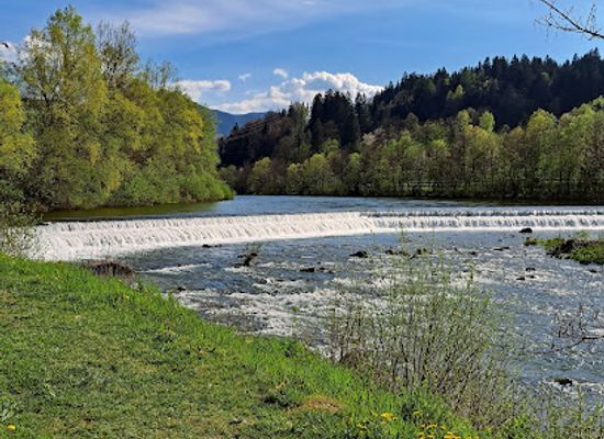 slovenia/savinja/attraction/mozirski-gaj
