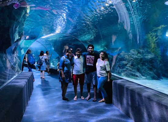 thailand/bangkok/siam/attraction/sea-life-bangkok-ocean-world