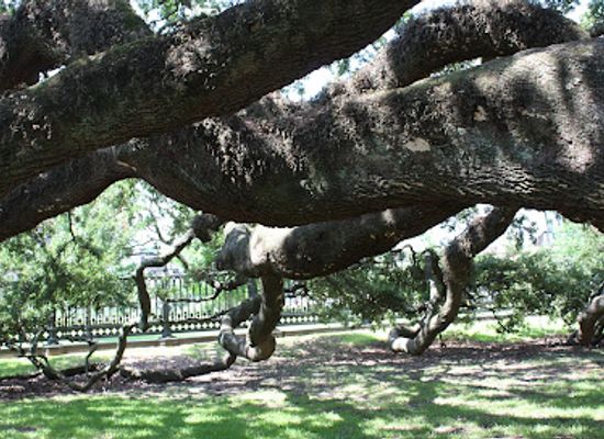 louisiana/atchafalaya-basin/attraction/louisiana-s-old-state-capitol