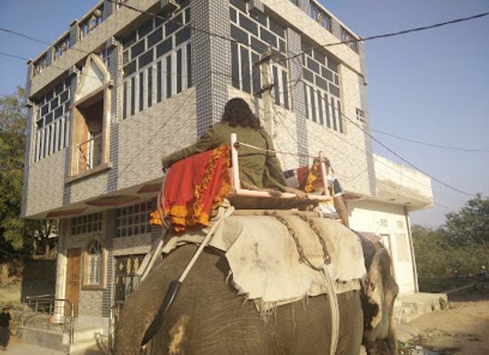india/rajasthan/attraction/elejungle-nature-elephant-safari-in-jaipur