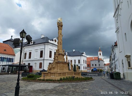 hungary/transdanubia/attraction/dubniczay-palota