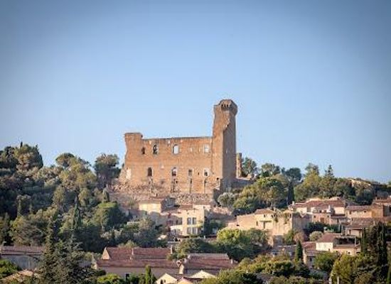 france/languedoc/attraction/castle-of-chateauneuf-du-pape
