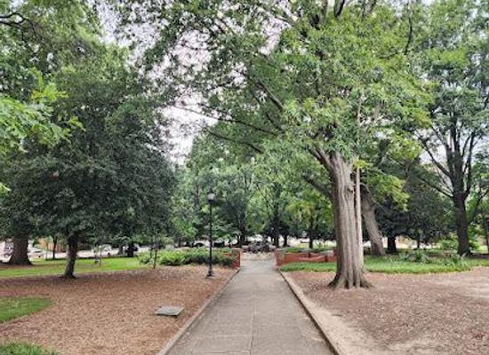 north-carolina/research-triangle/attraction/nash-square
