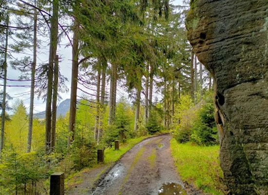 poland/stolowe-mountains/attraction/ptasia-skala