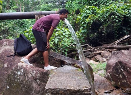 seychelles/cousin-island/attraction/grand-anse-cascade-waterfall