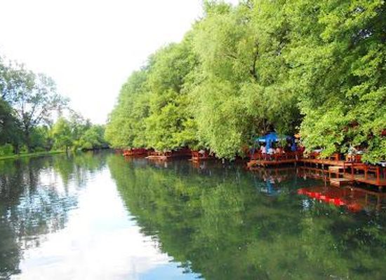 albania/pogradec/attraction/national-park-of-drilon