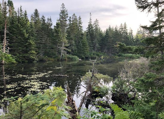 canada/prince-edward-island-national-park/attraction/farmlands-and-bubbling-springs-trails-prince-edward-island-national-park