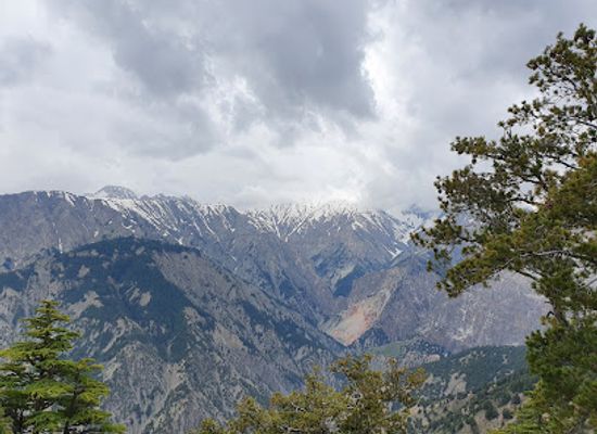 pakistan/chitral/attraction/chaghbini-wildlife-inspection-hut
