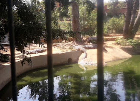 madagascar/bongolava/attraction/croc-farm