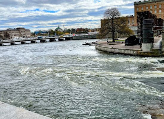 sweden/stockholm-archipelago/attraction/medelhavsmuseet