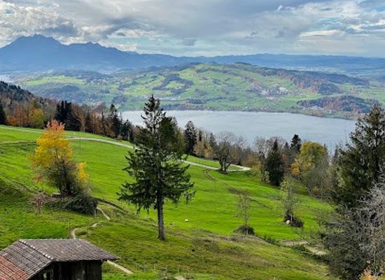 switzerland/zug/attraction/zugerbergtrail-by-ig-mountainbike-zug