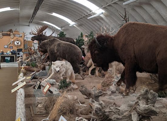 wyoming/wind-river-basin/attraction/wind-river-heritage-center