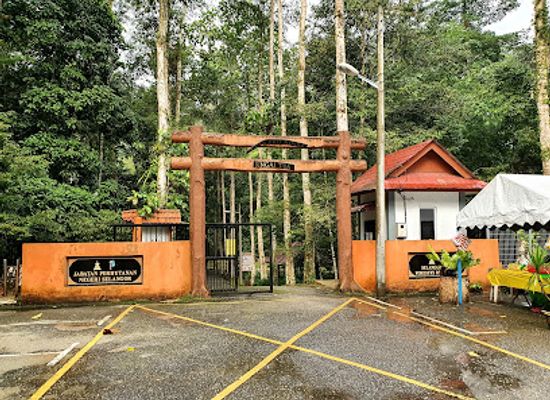 malaysia/selangor/attraction/taman-eko-rimba-sungai-tua