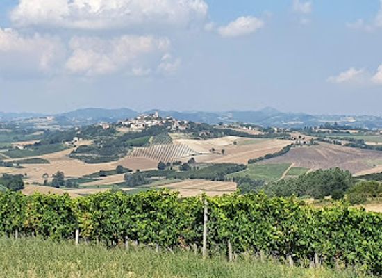 italy/monferrato/attraction/panchina-gigante-98-lu-monferrato